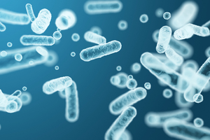 Meet the food industry’s biggest contamination recall villains