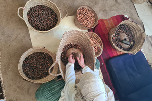 New framework launched to stop wild-harvested ingredients disappearing